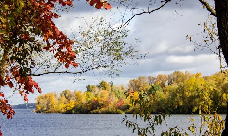 Границите на гостоприемството: Моят дом не е хотел – история за това как се научих да казвам „не“