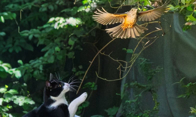 Кога домът престава да бъде дом: Моята битка за себе си в сянката на семейните конфликти