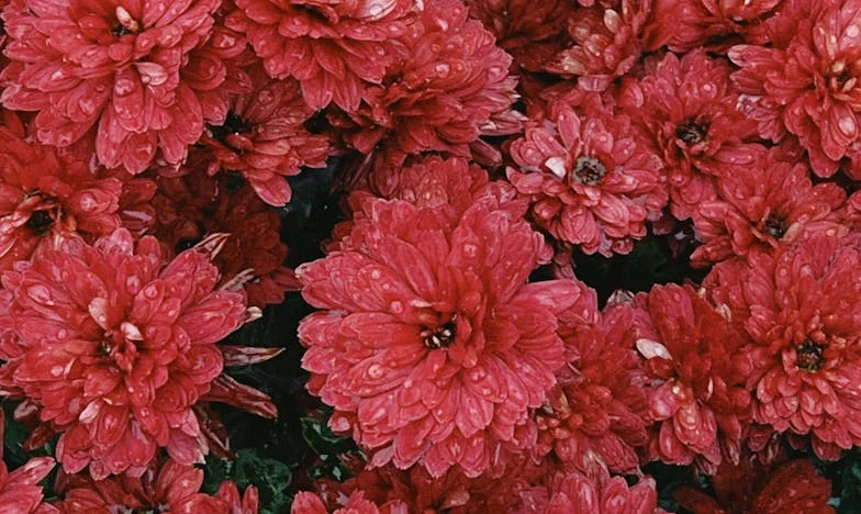 „Мамо, пак не си изчистила добре!” – Как мълчанието и дребните битки съсипаха моето семейство