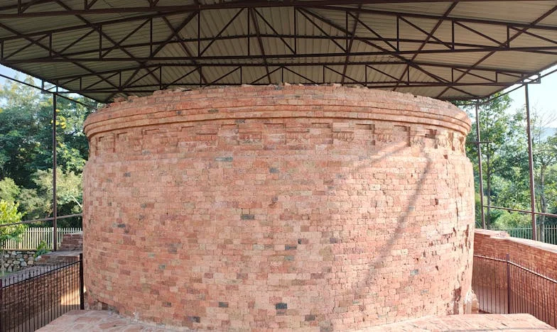 Между четири стени: Когато семейството е риск