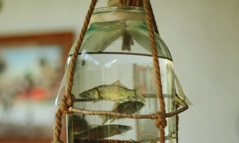 Миризмата на топъл хляб и горчивината на неизказаните думи – Историята на Ивелина от една българска кухня