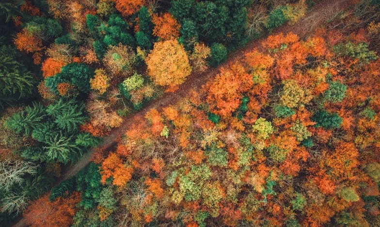„Не съм безплатна бавачка, само защото съм в майчинство!” – Когато семейството се обърне срещу теб