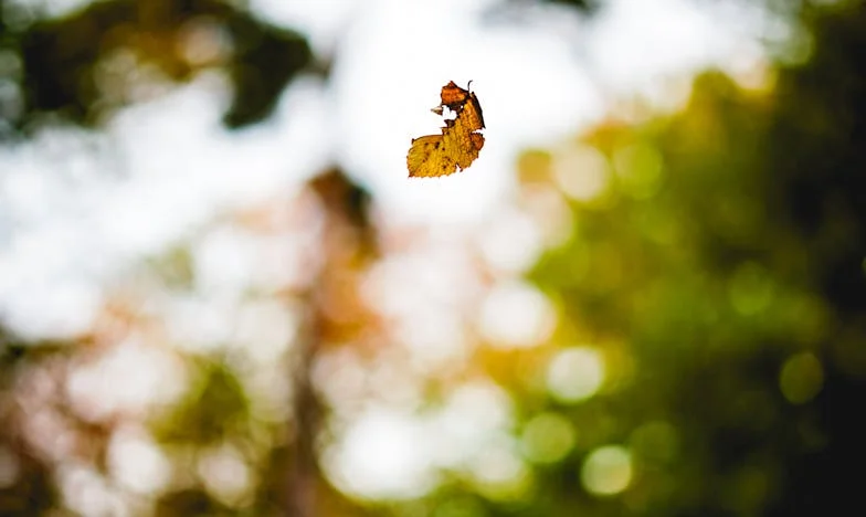 Прощаване в студената стая: История за предателство, прошка и ново начало