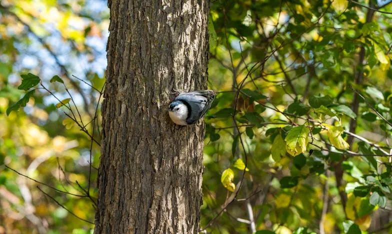 Сълзите на сина ми при баба: Истината, която разкъса семейството ни