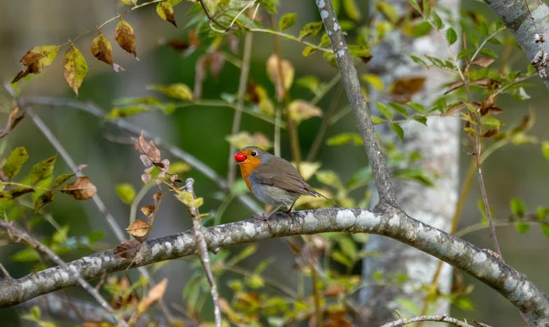 Сама на двора: Историята на една българска майка от малък град