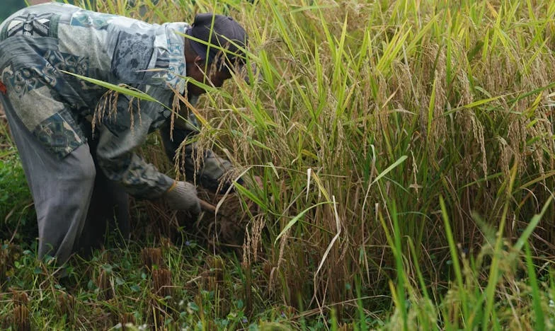 След смъртта на баща ми изгоних неговата жена: семейството ми ме мрази, но не съжалявам