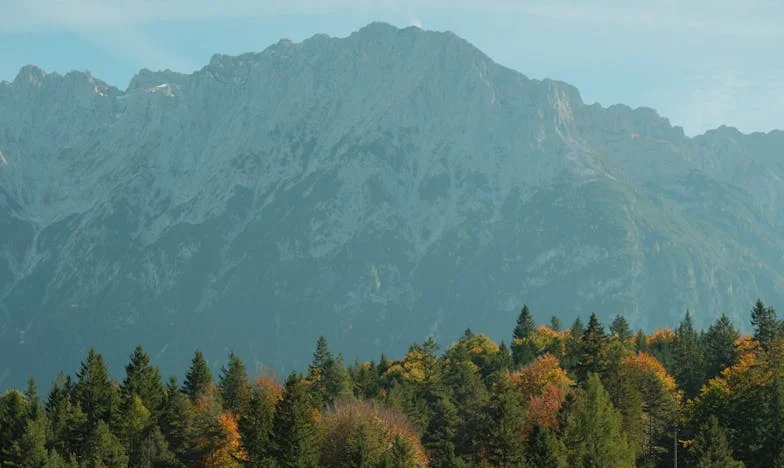 Това е домът на моя внук: История за болка, гордост и борба за щастие