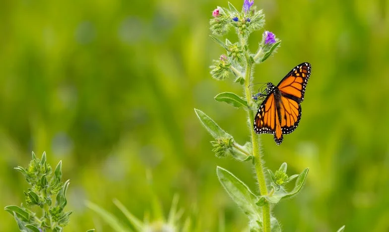 Урок по отговорност: Пукнатините в нашия брак