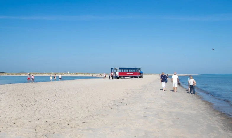 В сянката на пренебрежението: Историята на една дъщеря, която търси гласа си