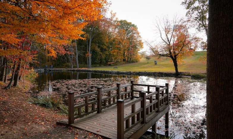Всяка вечер, когато зет ми се прибере, аз трябва да изчезна: Историята на една майка между любовта и омразата