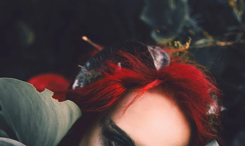 Далеч от корените: Историята на една раздяла и завръщане