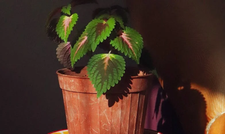 Дъщеря ми продава своята половина от апартамента: Къде ще живея аз?