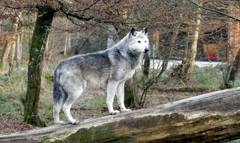 Денят, в който светът ми се срина: Когато Мария дойде с детето си