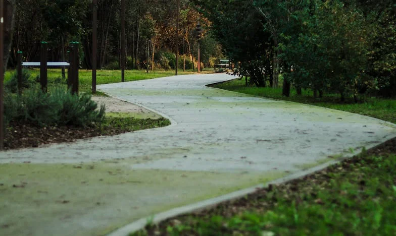Дневникът ми, моят враг: Изповед, която разтърси живота ми