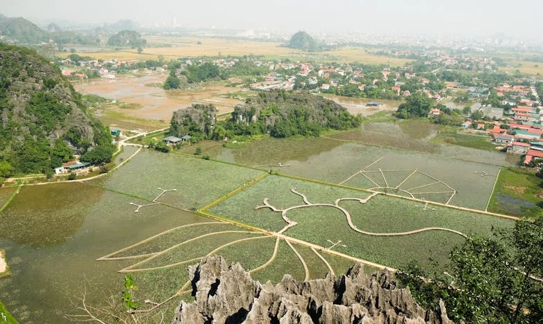 Един неочакван телефонен звън – Приятелство, което преобърна живота ми