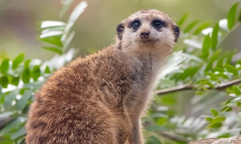 Истината, която никога не изрекохме: Изповедта на една майка