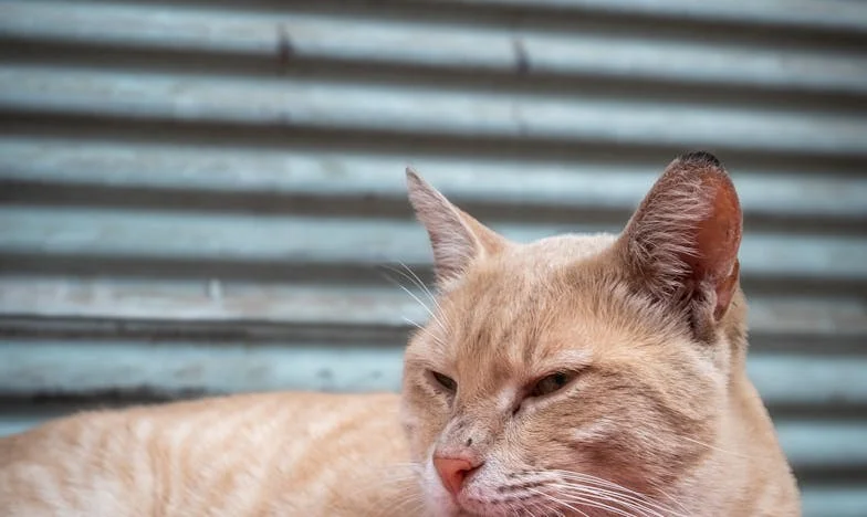 Къде изчезна лятото на дъщеря ми: Историята на една майка от Пловдив