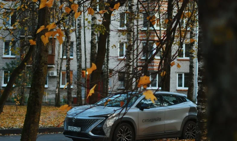 Когато братовчедката ми се нанесе при мен: История за разбити илюзии и цената на семейството