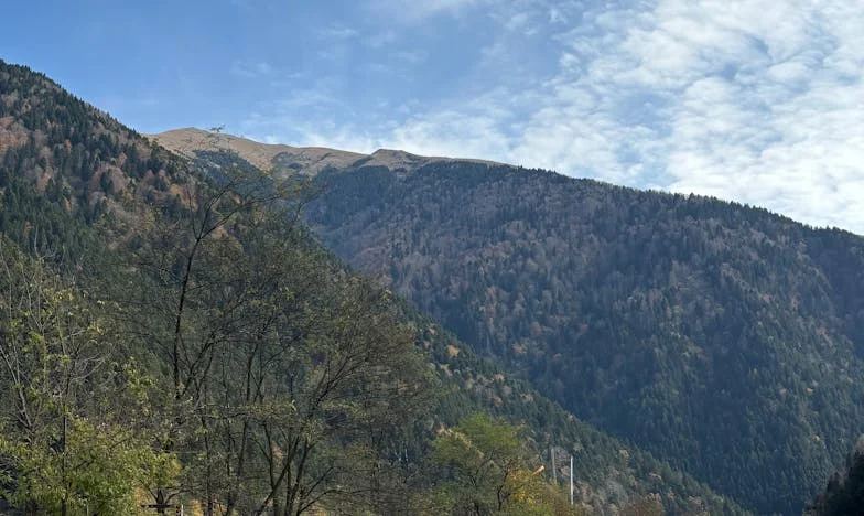 Когато детето ти те забрави: Историята на една българска майка