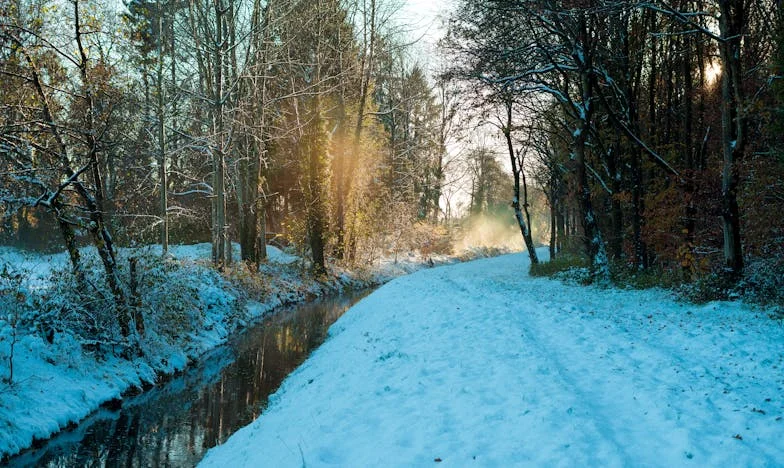 Когато домът се превърне в чужбина: Изповедта на една българска майка