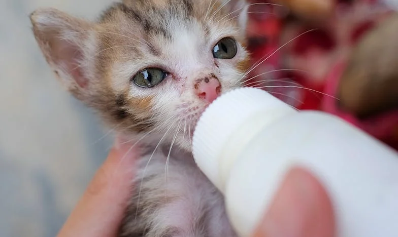 Когато истината боли повече от лъжата – историята на Мария от Пловдив