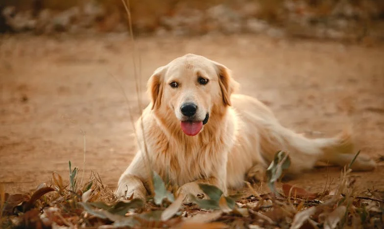 Когато истината не е на твоя страна: Моята битка за справедливост в семейството