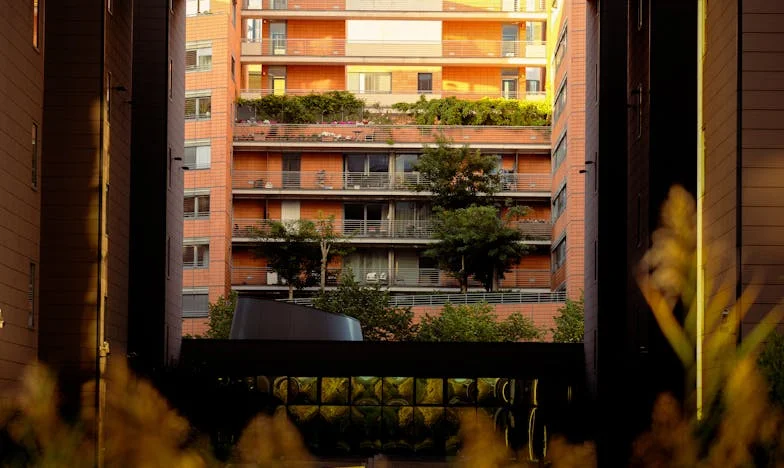 Когато мама забрави коя съм: История за границите между дете и родител