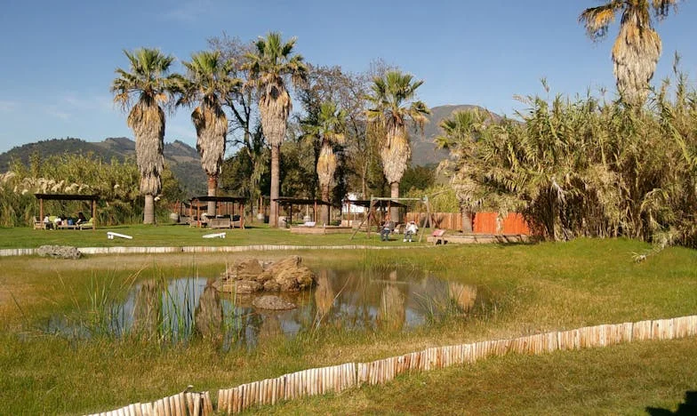 Когато съседът прекрачи границата: История за приятелство, доверие и лични пространства