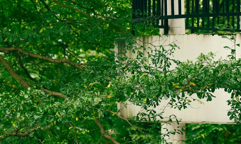 Когато собственото ти семейство те предаде: Една вечеря, която преобърна живота ми