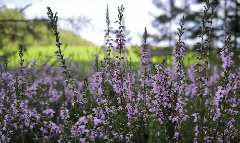 Майка ми помогна на бившата ми жена, но отказва да помогне на сегашната – семейна драма в три поколения