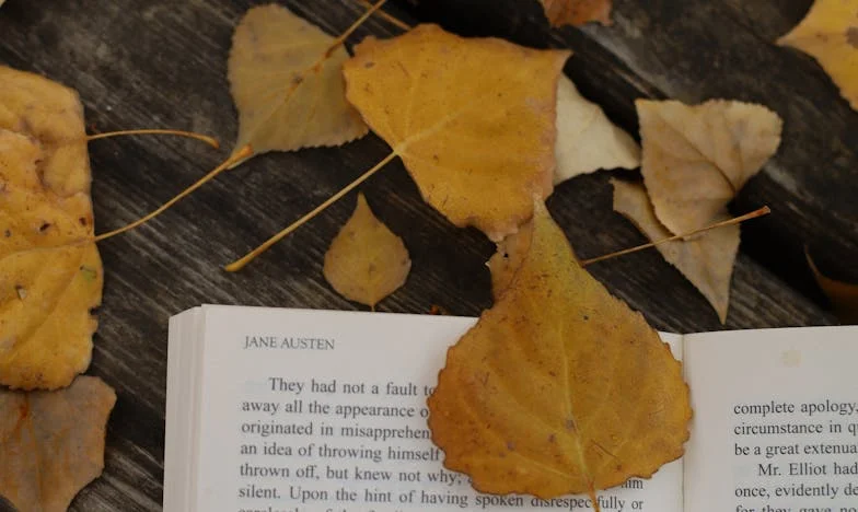 Майко, вече и ти си само гостенка? – Историята на една изгубена майчина обич