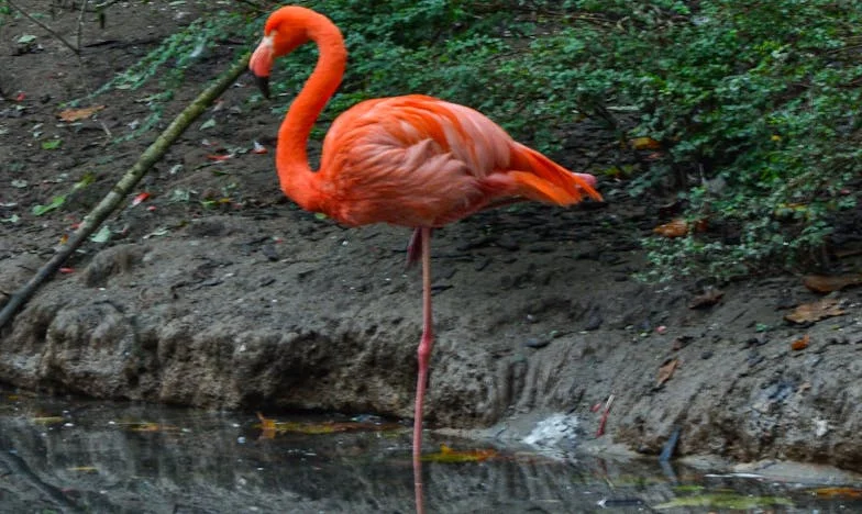 Мълчанието между нас: Историята на една независима жена и семейните финанси