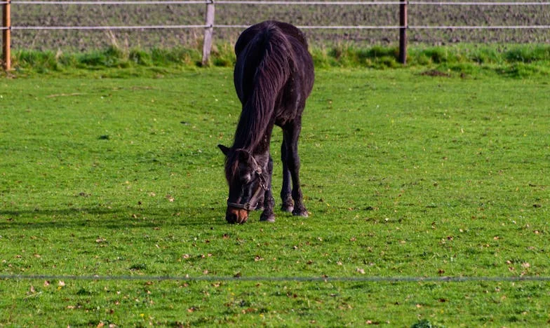 „Мамо, не е твоята вина“ – Как казах на свекърва си, че синът ѝ няма да има деца