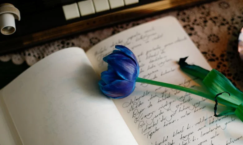 Между бурята и тишината: Изповедта на една българска съпруга