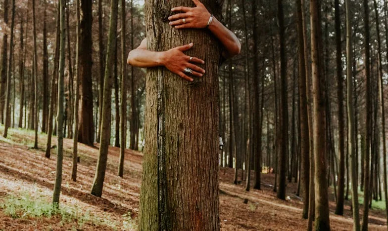 Между четири стени: Когато семейството се превръща в риск – историята на една съдбоносна вечеря