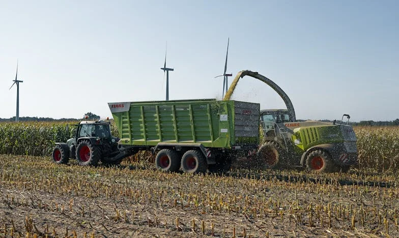 Между любовта и гордостта: Изповедта на една свекърва