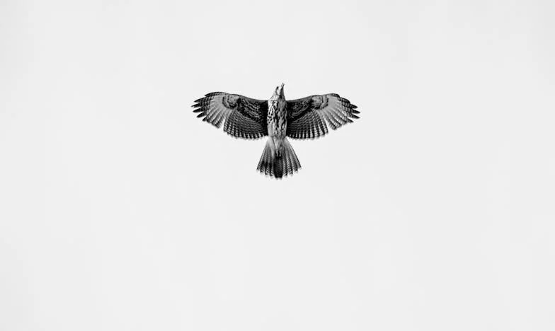 Между сина и снаха: Сърцето на една майка на кръстопът