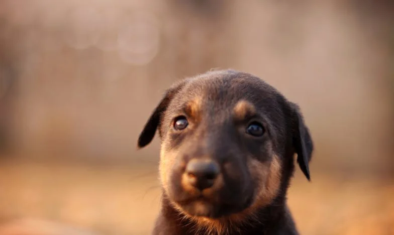 Не искаме внука за уикенда – Историята на един баща, който още не може да говори за сина си без сълзи