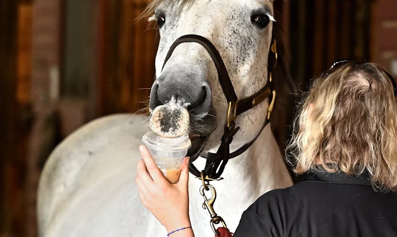 Под една и съща стряха: Как предателството на съпруга ми с най-добрата ми приятелка разби живота ми