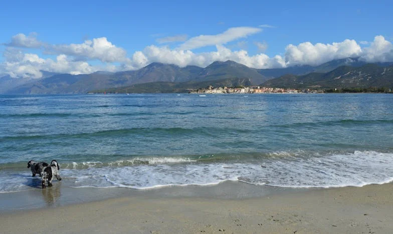 Семейни рани: Когато домът се превърне в бойно поле