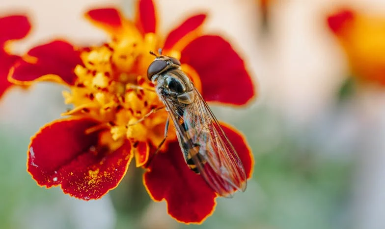 Синът на мъжа ми се появи след 12 години брак: История за предателство, прошка и ново начало