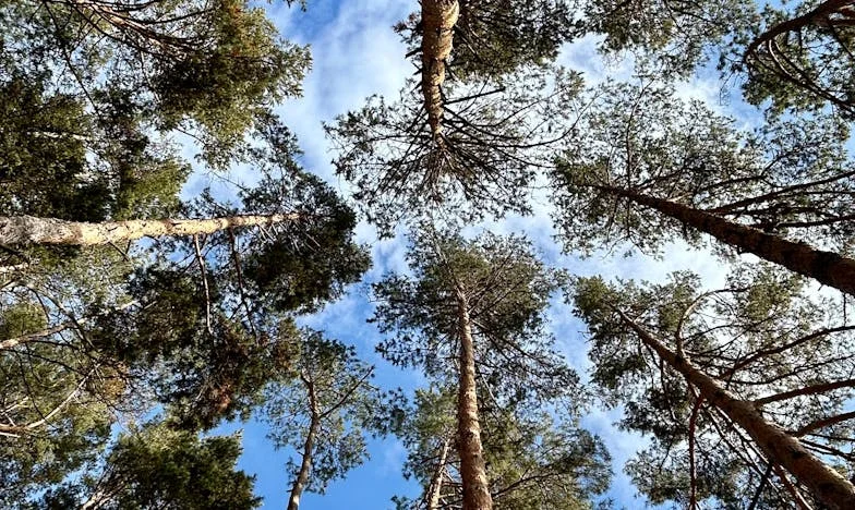 „Ти цял ден нищо не правиш!“ – Моята битка за разбиране и уважение по време на майчинство