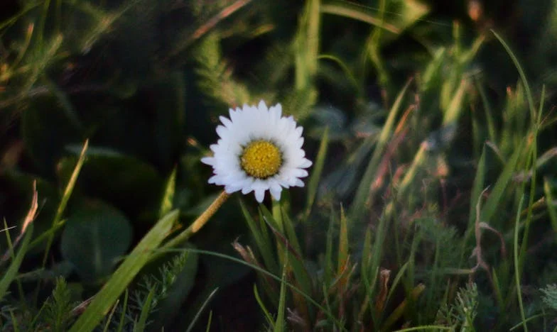 Три пъти майка за една година: Моята битка, моята сила