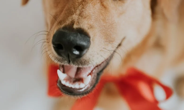 Тридесет и осем години мълчание: Денят, в който отново погледнах сина си в очите