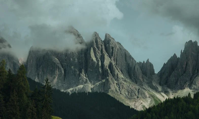 Борбата за сина ми: Наследството, съпругът ми и неговото семейство