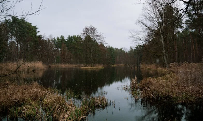 Дълговете на майка ми, моето наказание: История за наследството, което не избрах