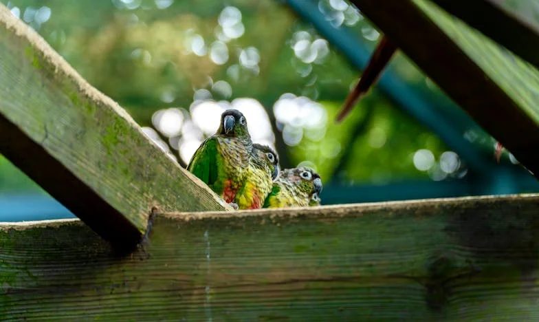 Дъщеря ми няма да отиде на море, но майка ми иска пари – история за семейни разочарования и борба за справедливост