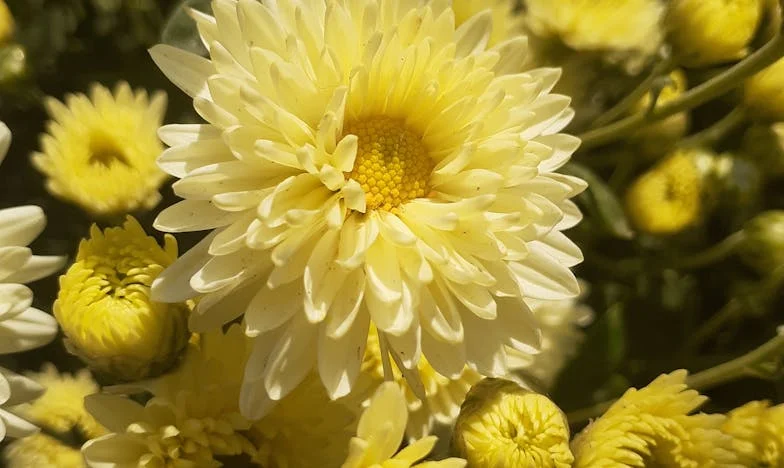 Домът, който трябваше да бъде щастие, а стана проклятие