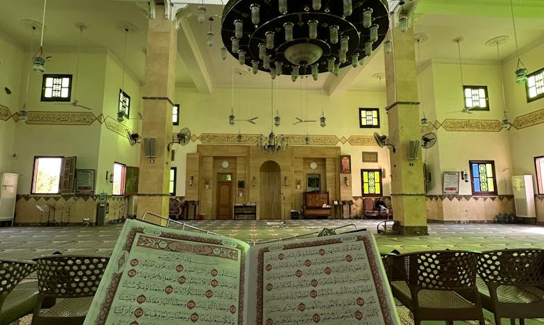 Къщата, която ни раздели: История за алчността и семейните рани