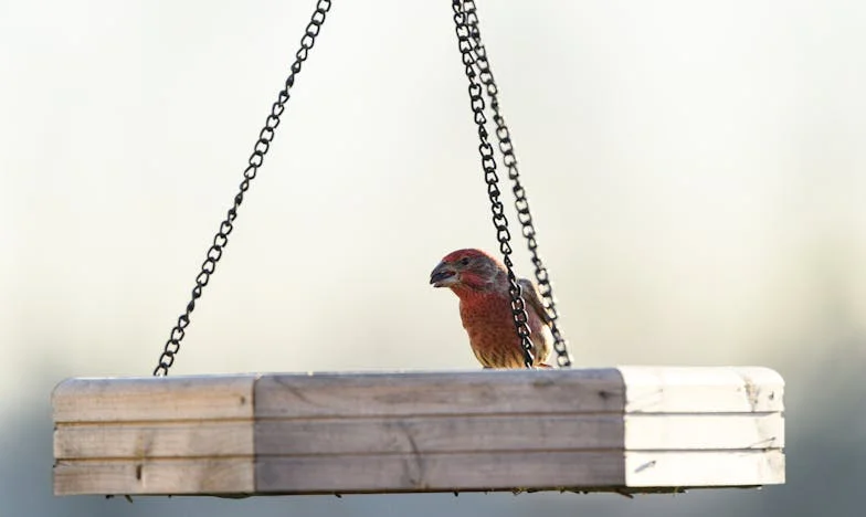 Когато дъщеря ти прошепне: „Ти си живееш, а ние затъваме в дългове“ – Истината за пенсионирането, която никой не иска да чуе